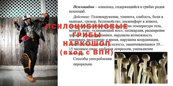 марки nbome Медвежьегорск