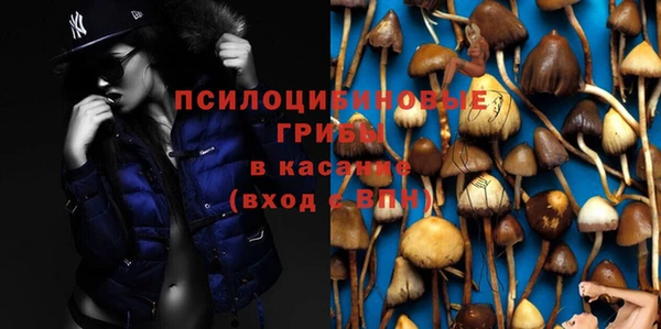 дмт Медногорск