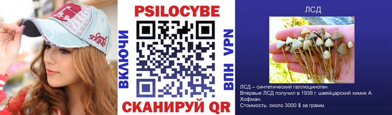 Псилоцибиновые грибы GOLDEN TEACHER Тольятти