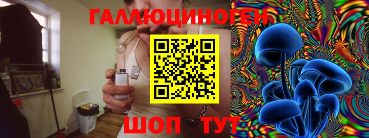 Галлюциногенные грибы ЛСД  купить  цена  Псилоцибиновые грибы GOLDEN TEACHER  Тольятти 