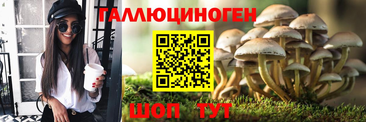 Тольятти  Псилоцибиновые грибы мухоморы  Вход с VPN 