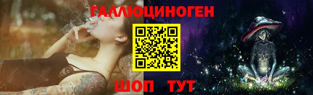 Галлюциногенные грибы Psilocybine cubensis Тольятти
